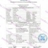 Сиалис 40