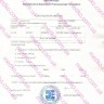 Левитра 10