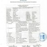 Сиалис 20
