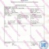 Сиалис 20 в капсулах