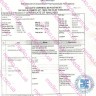 Виагра + Дапоксетин ЭКСТРА